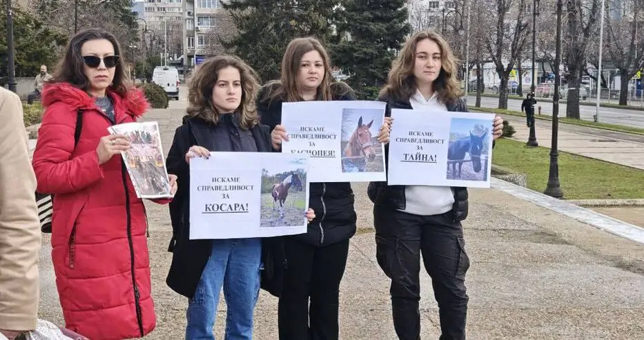 Протест Фанагория